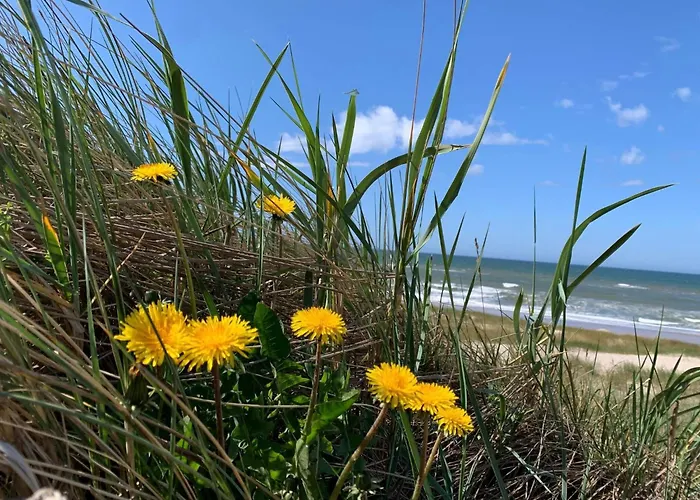 度假居 Seaside Bliss In Houstrup-by Traum *